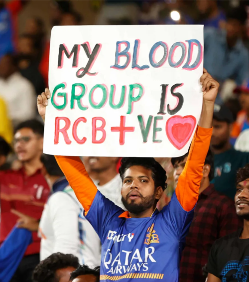 report cover ipl